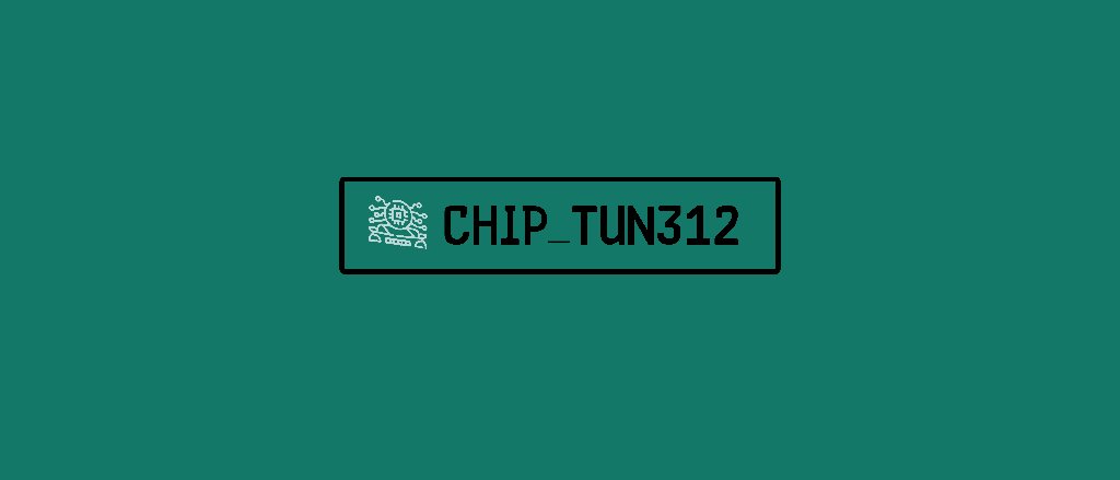 Chip_Tun312